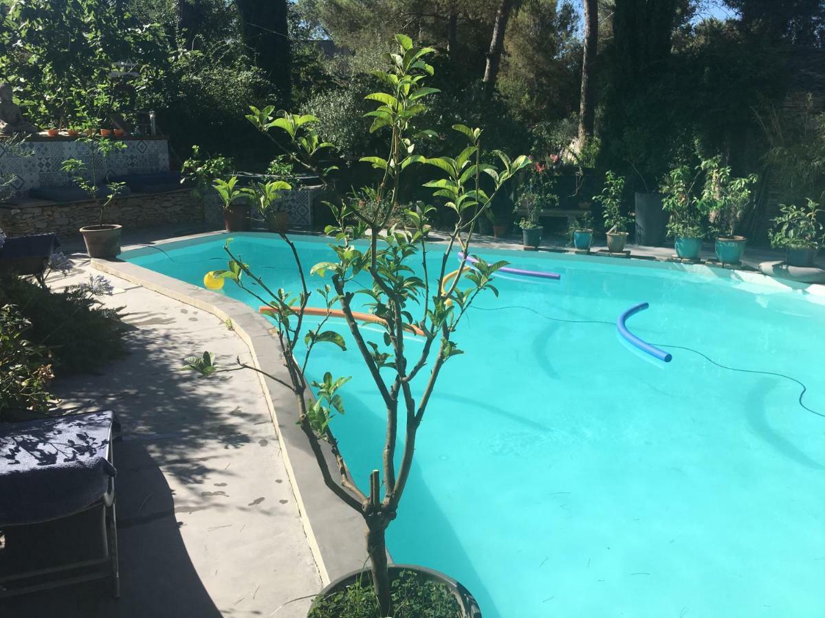 נים Inn 4 Bears מראה חיצוני תמונה